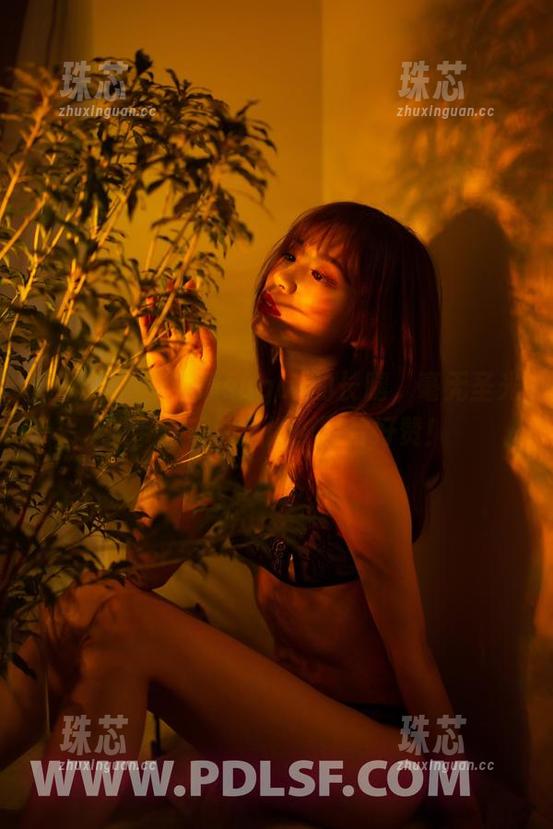 轰趴猫-杨晨晨sugar 轰趴猫 - 杨晨晨sugar的长腿,毫无圣光却带着千种风情,图片好赞!